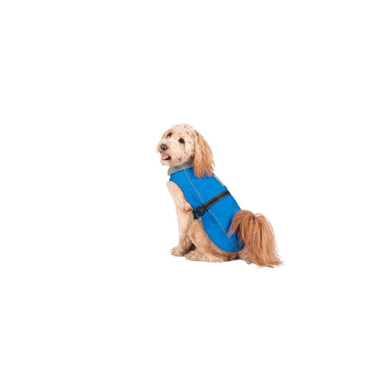 Dog Gone Smart Regenmantel Für Hunde Dog Gone Smart Blau 55 Cm