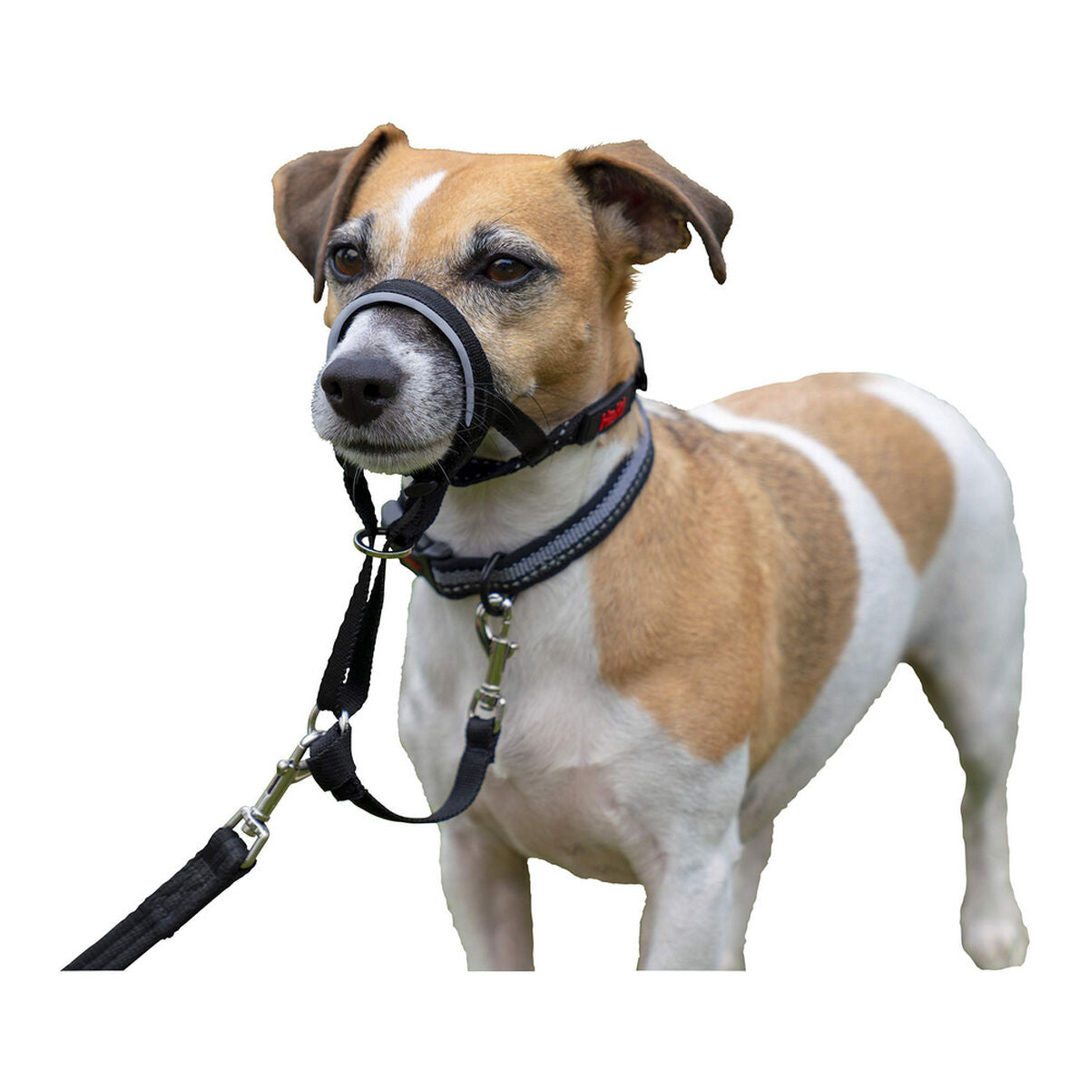 Company Of Animals Dressurhalsband Für Hunde Company Of Animals Halti Schwarz Maulkorb (31-40 Cm)