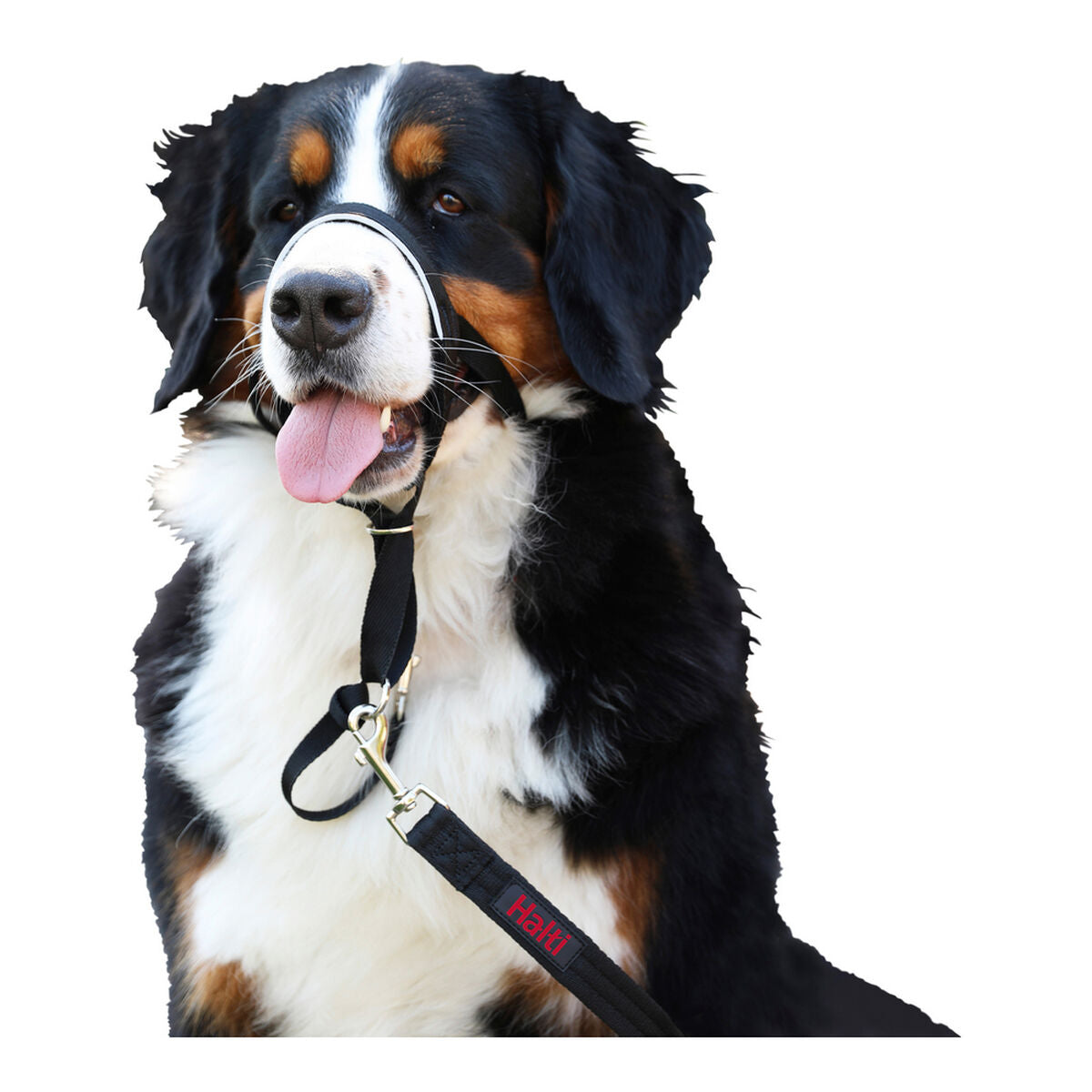 Company Of Animals Dressurhalsband Für Hunde Company Of Animals Halti Schwarz Maulkorb (35-48 Cm)