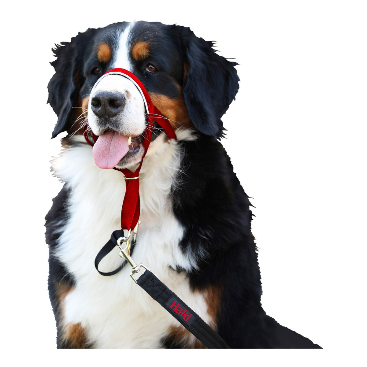 Company Of Animals Dressurhalsband Für Hunde Company Of Animals Halti Maulkorb (46-62 Cm)