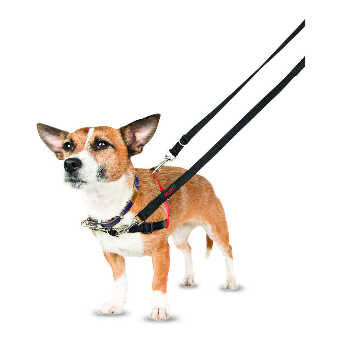Company Of Animals Hundegeschirr Company Of Animals Halti Schwarz/Rot S (36-64 Cm)