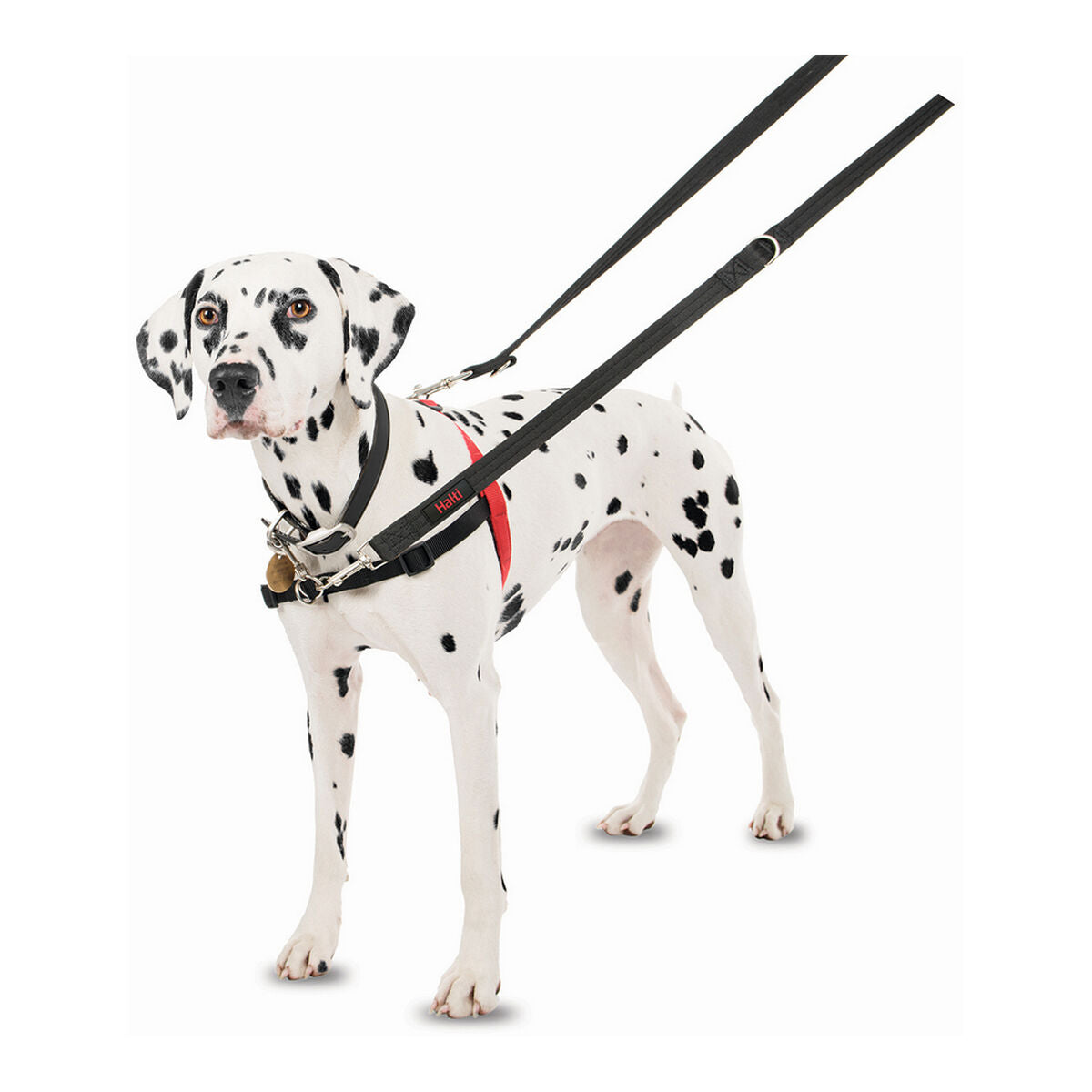 Company Of Animals Hundegeschirr Company Of Animals Halti Schwarz/Rot S (36-64 Cm)