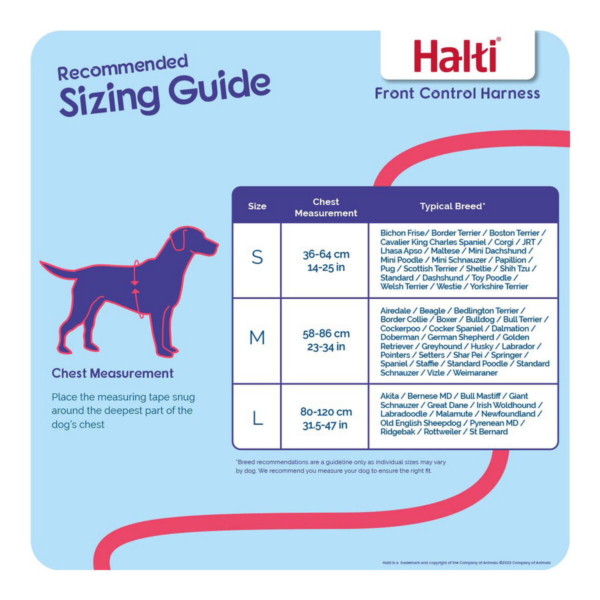 Company Of Animals Hundegeschirr Company Of Animals Halti Schwarz/Rot S (36-64 Cm)