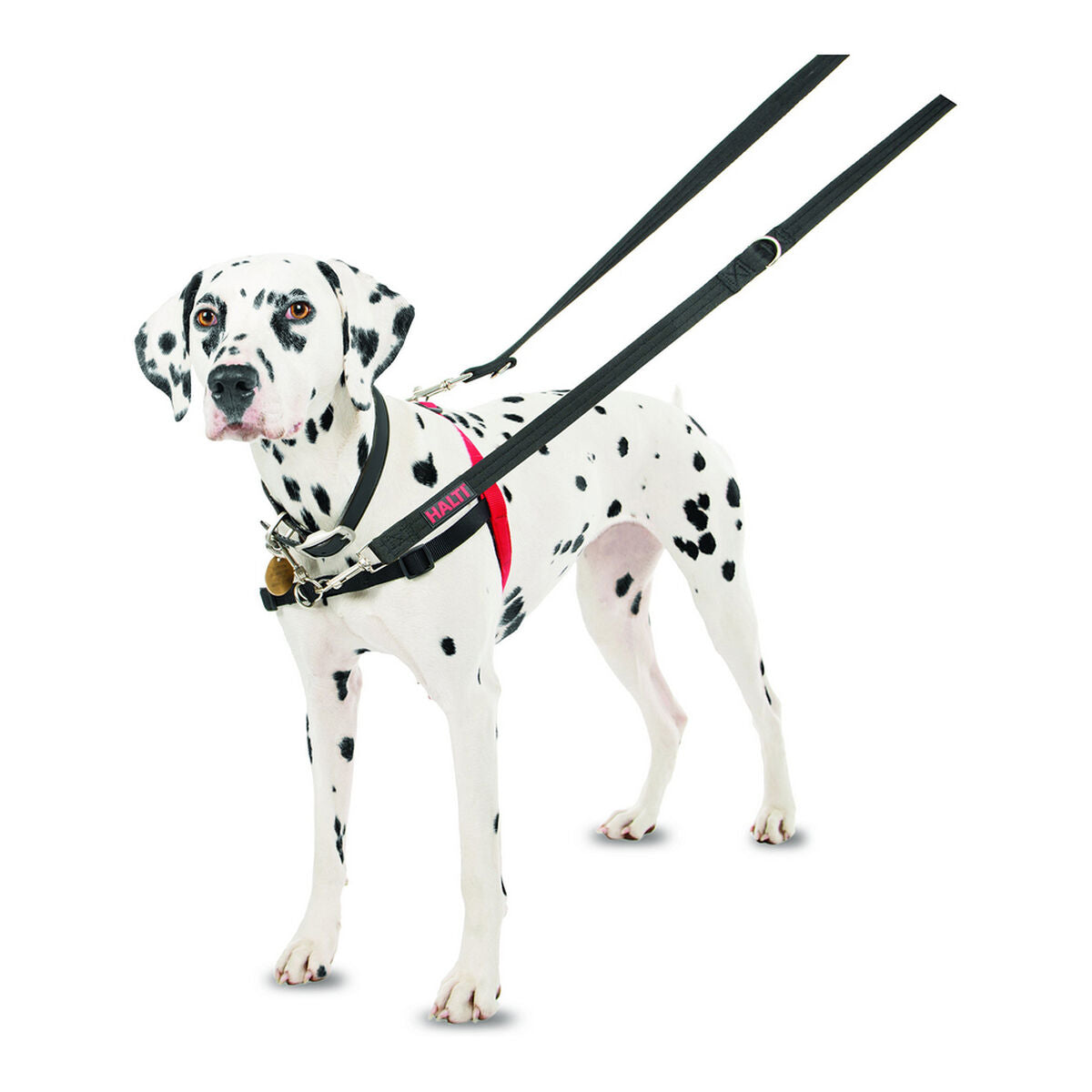 Company Of Animals Hundegeschirr Company Of Animals Halti Schwarz/Rot M (58-86 Cm)