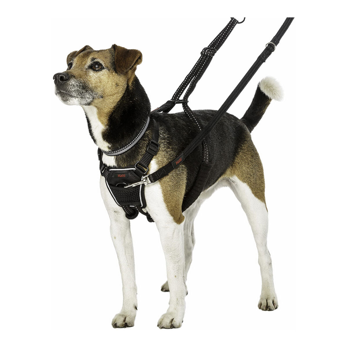 Company Of Animals Hundegeschirr Company Of Animals Halti S (26-36 Cm)