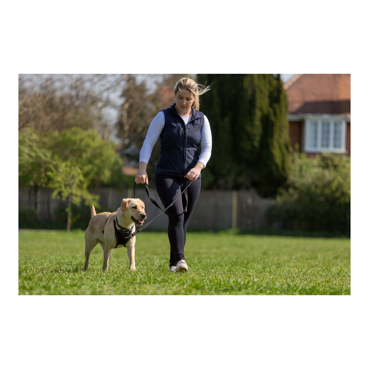 Company Of Animals Hundegeschirr Company Of Animals Halti S (26-36 Cm)