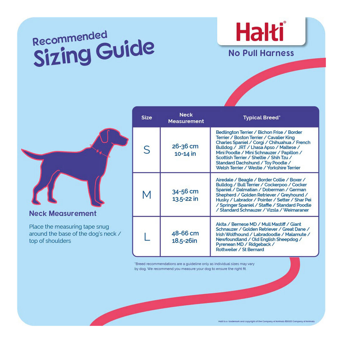 Company Of Animals Hundegeschirr Company Of Animals Halti S (26-36 Cm)