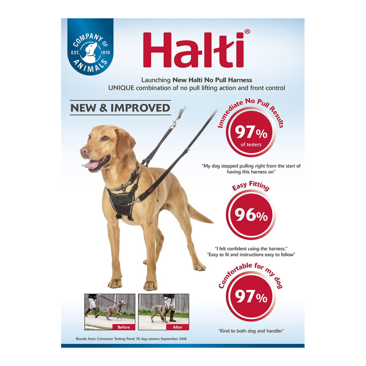 Company Of Animals Hundegeschirr Company Of Animals Halti S (26-36 Cm)