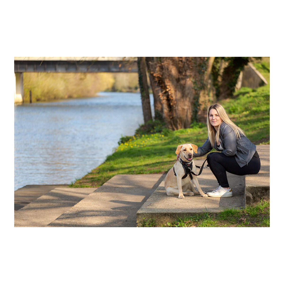 Company Of Animals Hundegeschirr Company Of Animals Halti M (34-56 Cm)