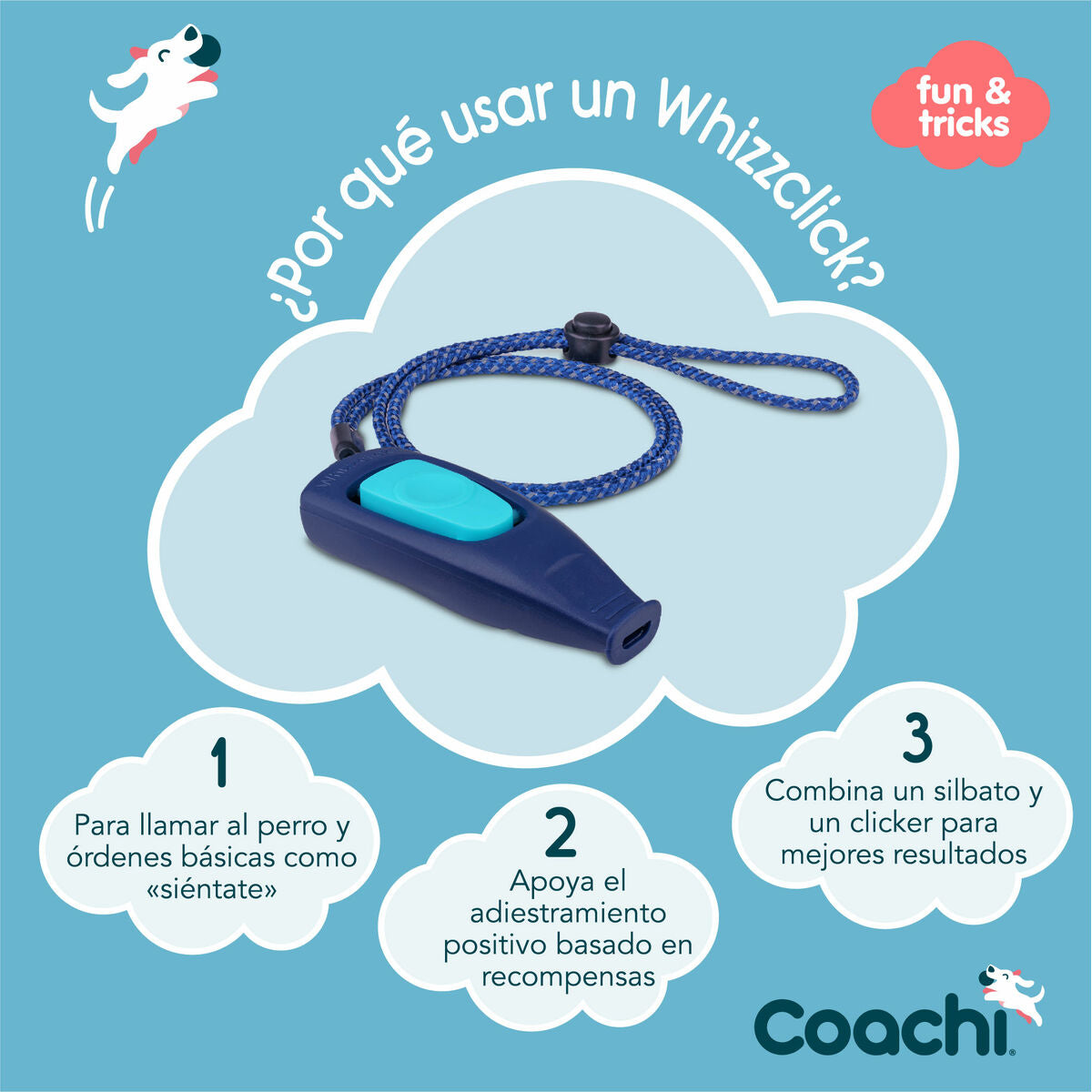 Coachi Pfeife Coachi