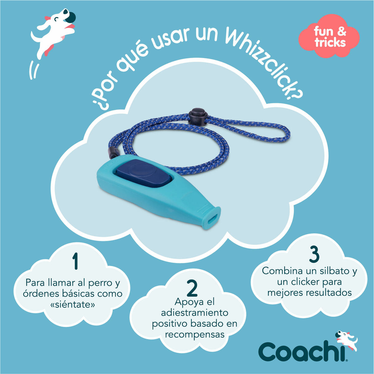 Coachi Pfeife Coachi