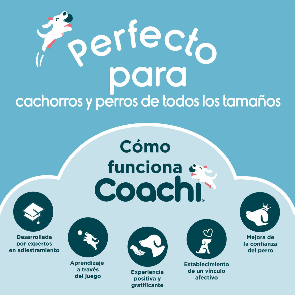 Coachi Pfeife Coachi