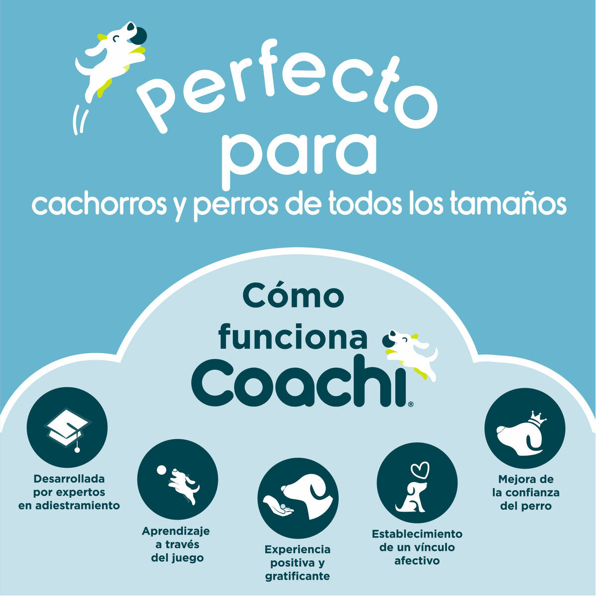 Coachi Pfeife Coachi Blau