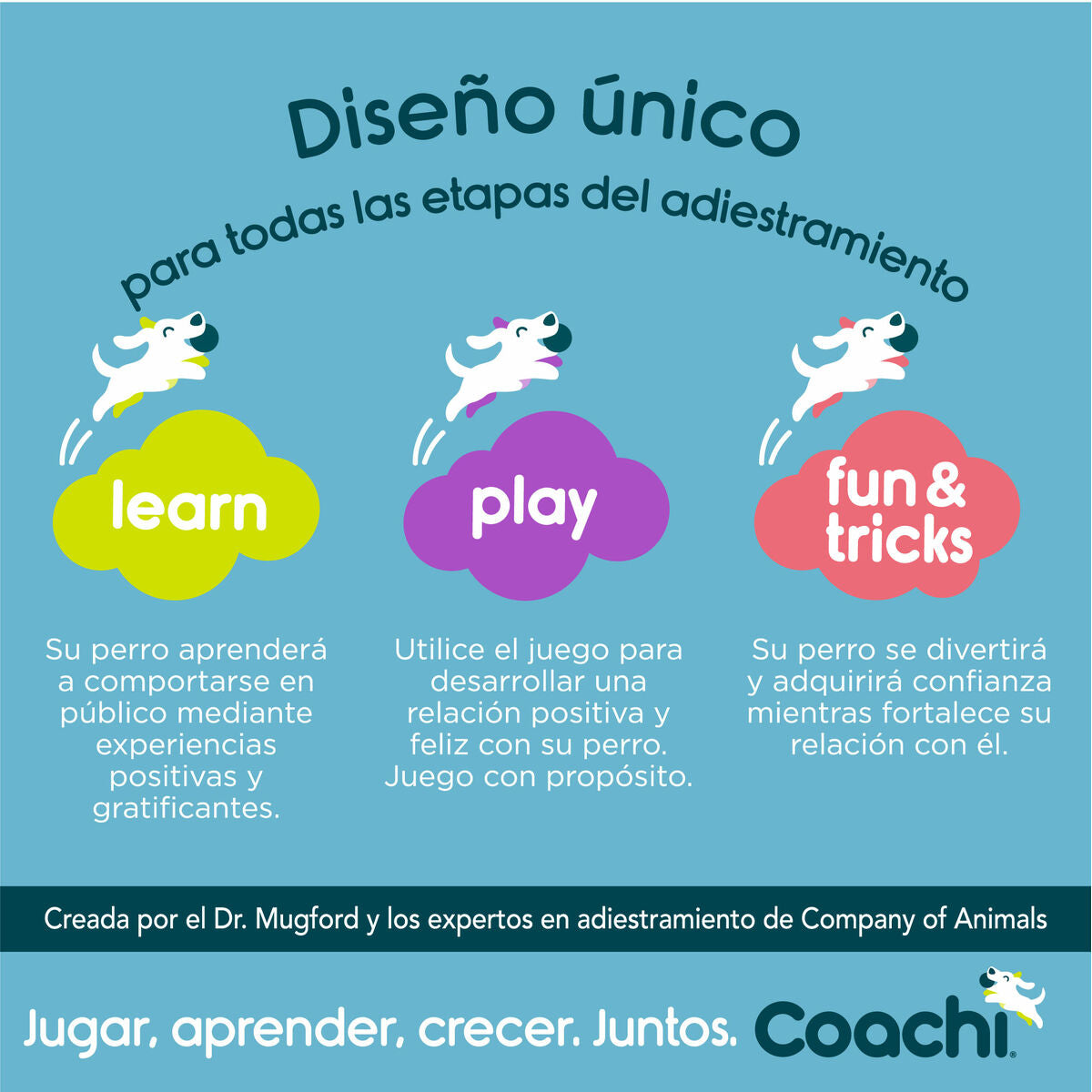 Coachi Pfeife Coachi Blau