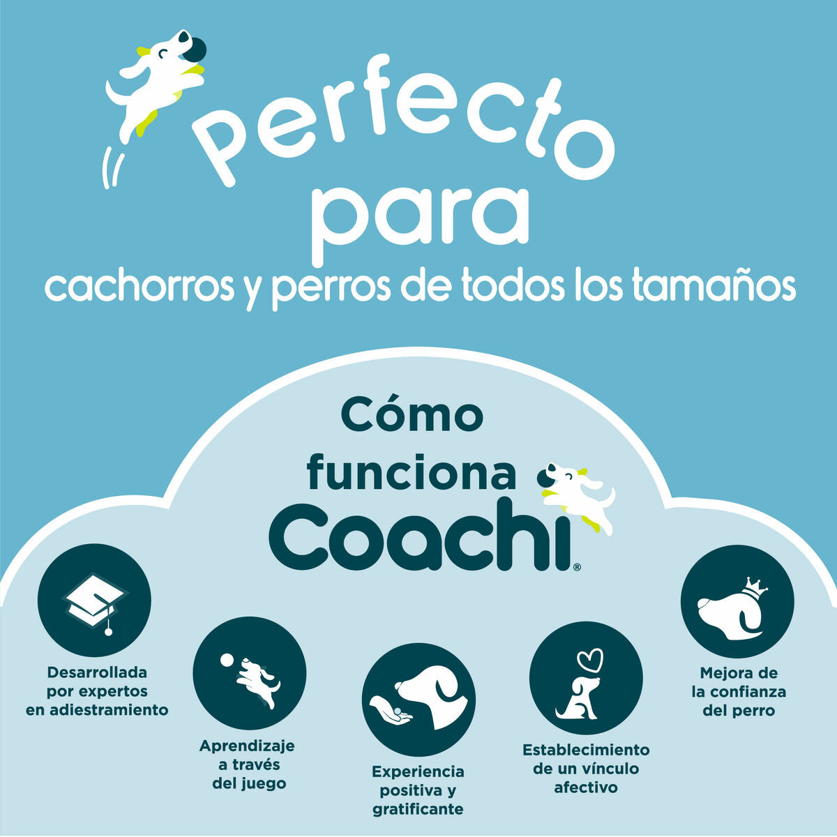 Coachi Pfeife Coachi Blau