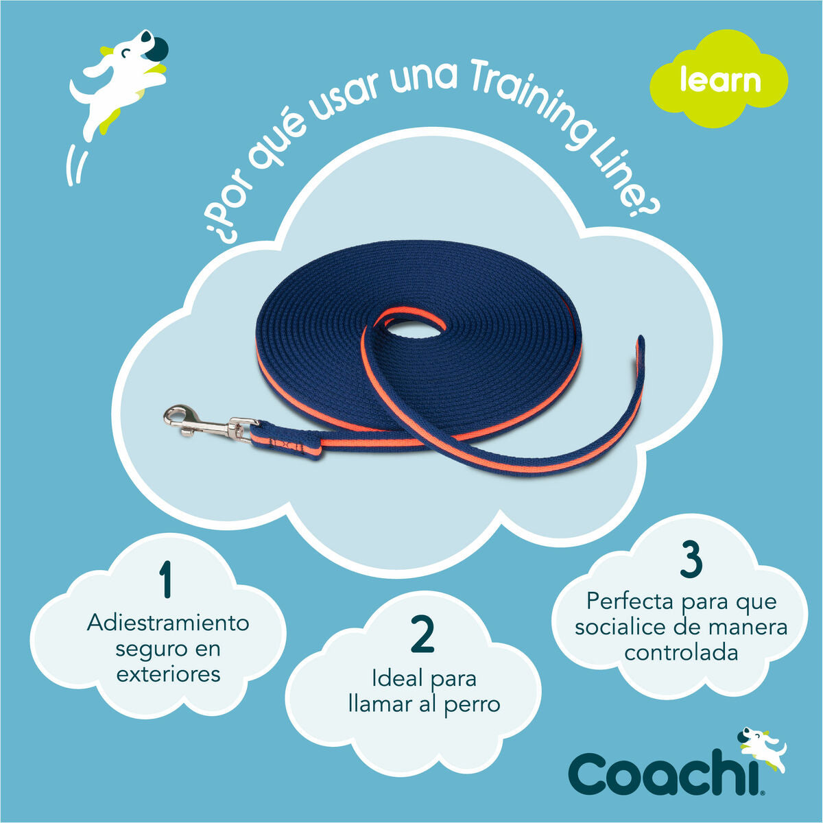 Coachi Trainingsgurt Coachi Blau 10M Ausbildung