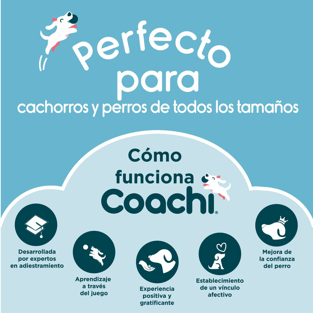 Coachi Allzwecktasche Coachi Train & Treat Blau