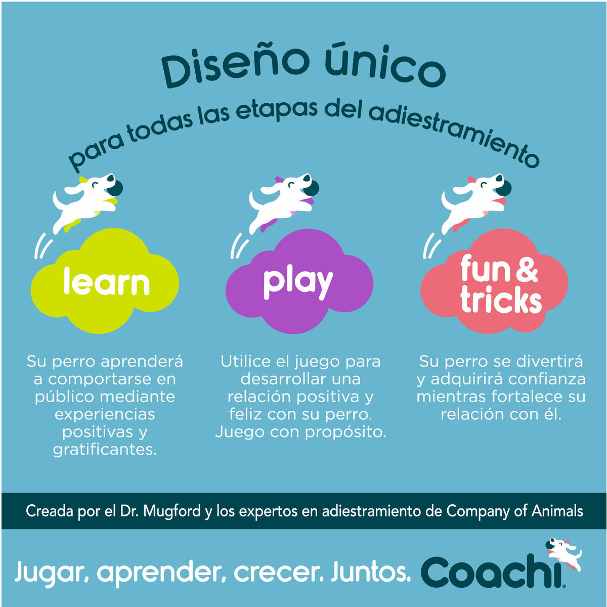 Coachi Allzwecktasche Coachi Train & Treat Blau