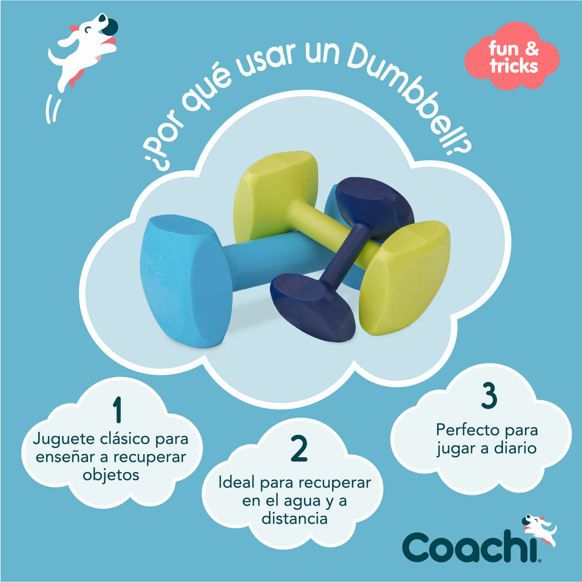 Coachi Hantel Coachi Training Dumbbell 12 Kunststoff