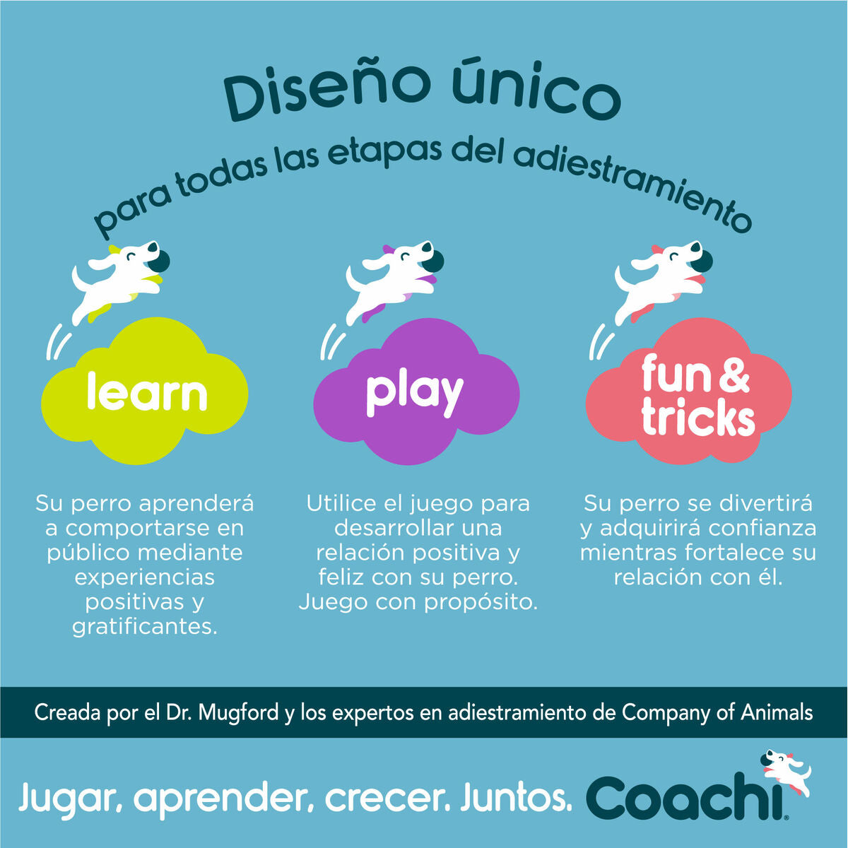 Coachi Trainingsspielzeug Coachi