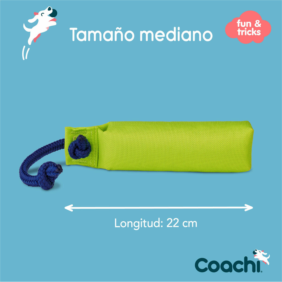 Coachi Trainingsspielzeug Coachi