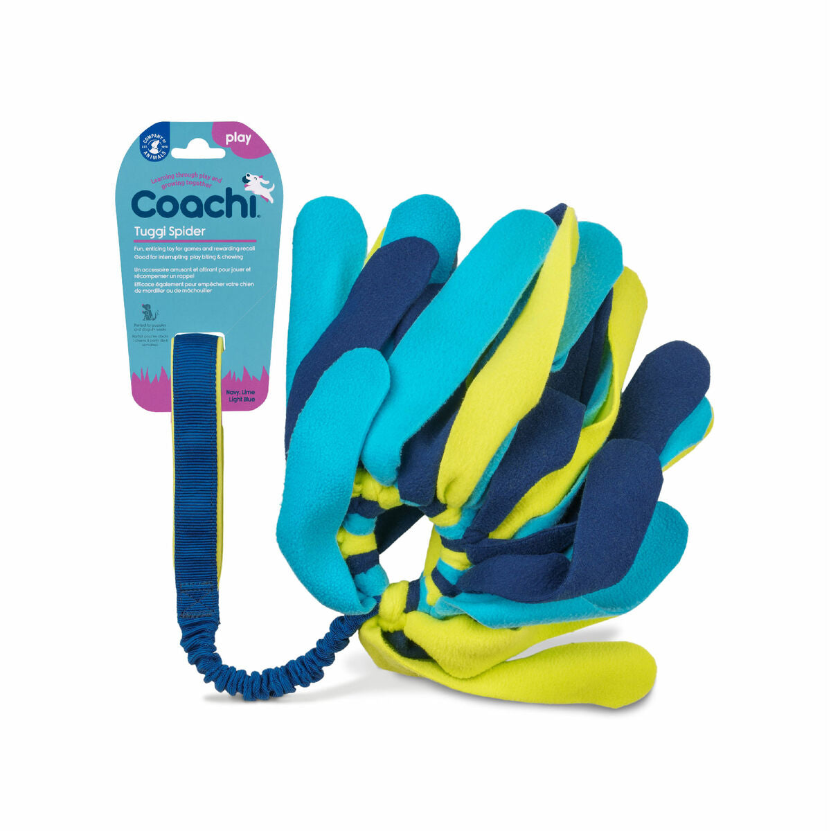 Coachi Trainingsspielzeug Coachi Tuggi Spider Blau