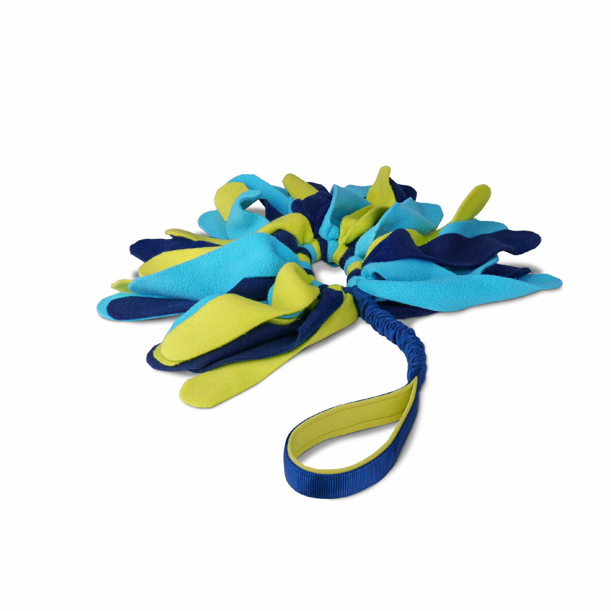 Coachi Trainingsspielzeug Coachi Tuggi Spider Blau