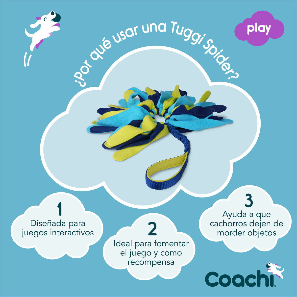 Coachi Trainingsspielzeug Coachi Tuggi Spider Blau