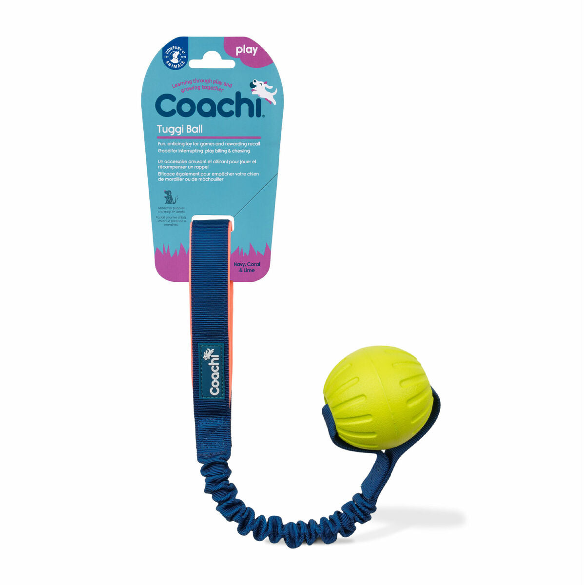 Coachi Trainingsspielzeug Coachi Tuggi Ball Blau
