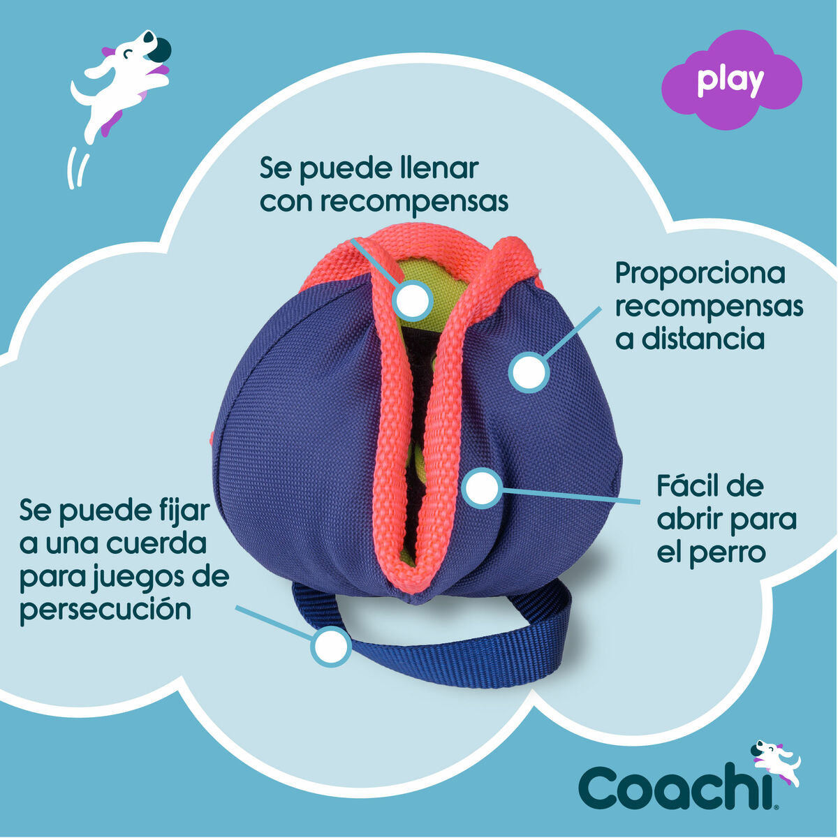 Coachi Trainingsspielzeug Coachi Chase & Treat Blau