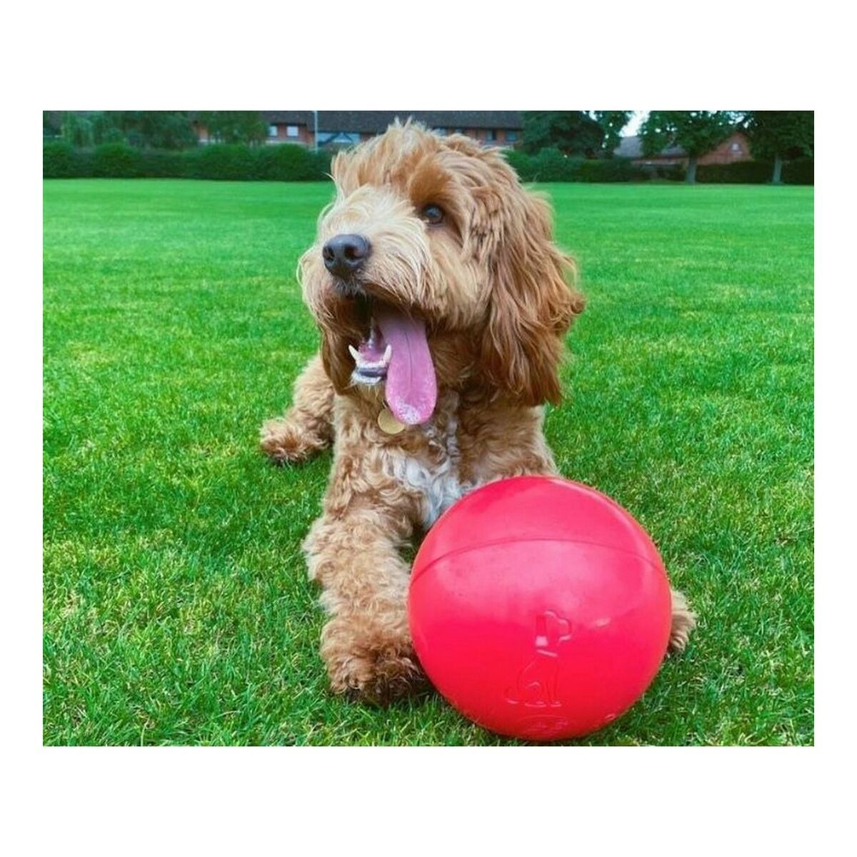 Company Of Animals Hundespielzeug Company Of Animals Boomer Blau 100Mm
