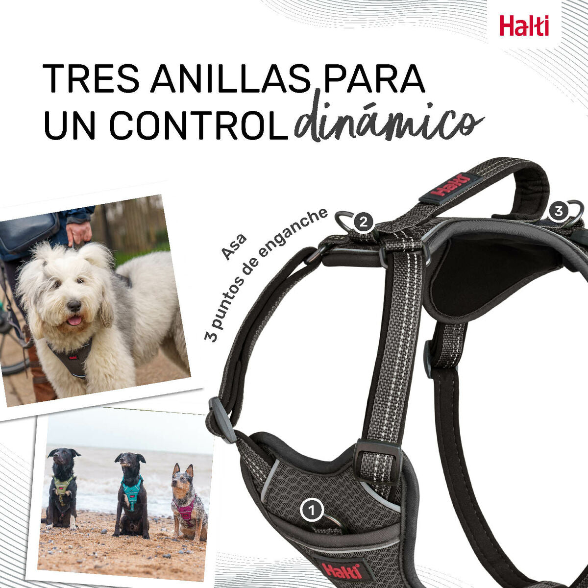 Company Of Animals Hundegeschirr Company Of Animals Grau Xs 20-32 Cm