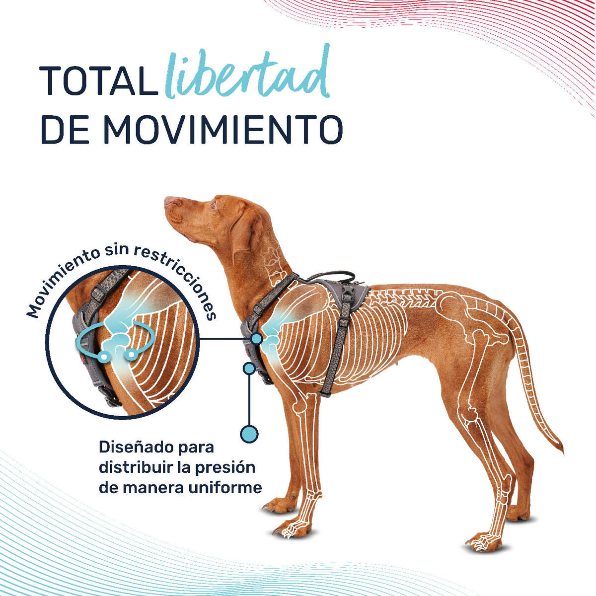 Company Of Animals Hundegeschirr Company Of Animals Grau Xs 20-32 Cm