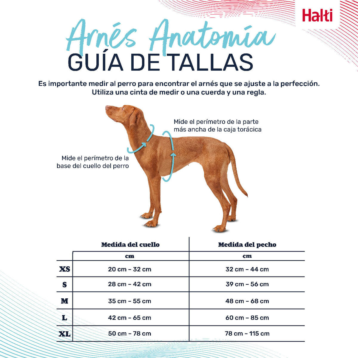 Company Of Animals Hundegeschirr Company Of Animals Grau Xs 20-32 Cm