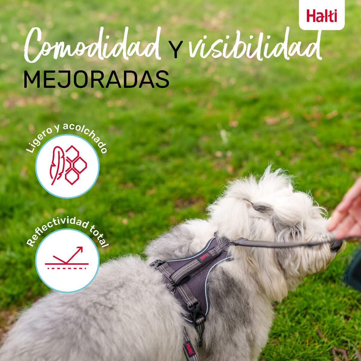 Company Of Animals Hundegeschirr Company Of Animals Grau L 42-65 Cm