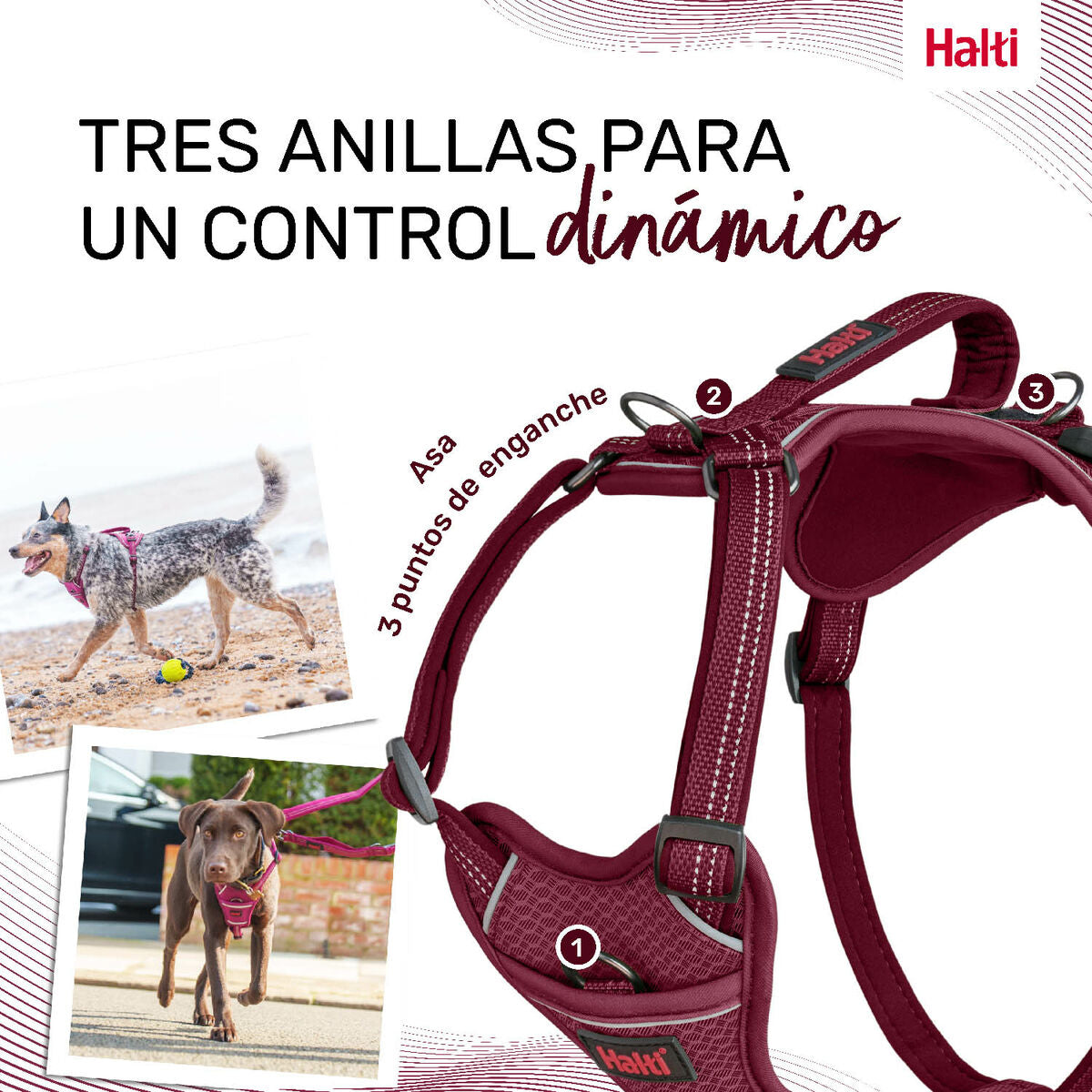 Company Of Animals Hundegeschirr Company Of Animals Burgunderrot S 28-42 Cm