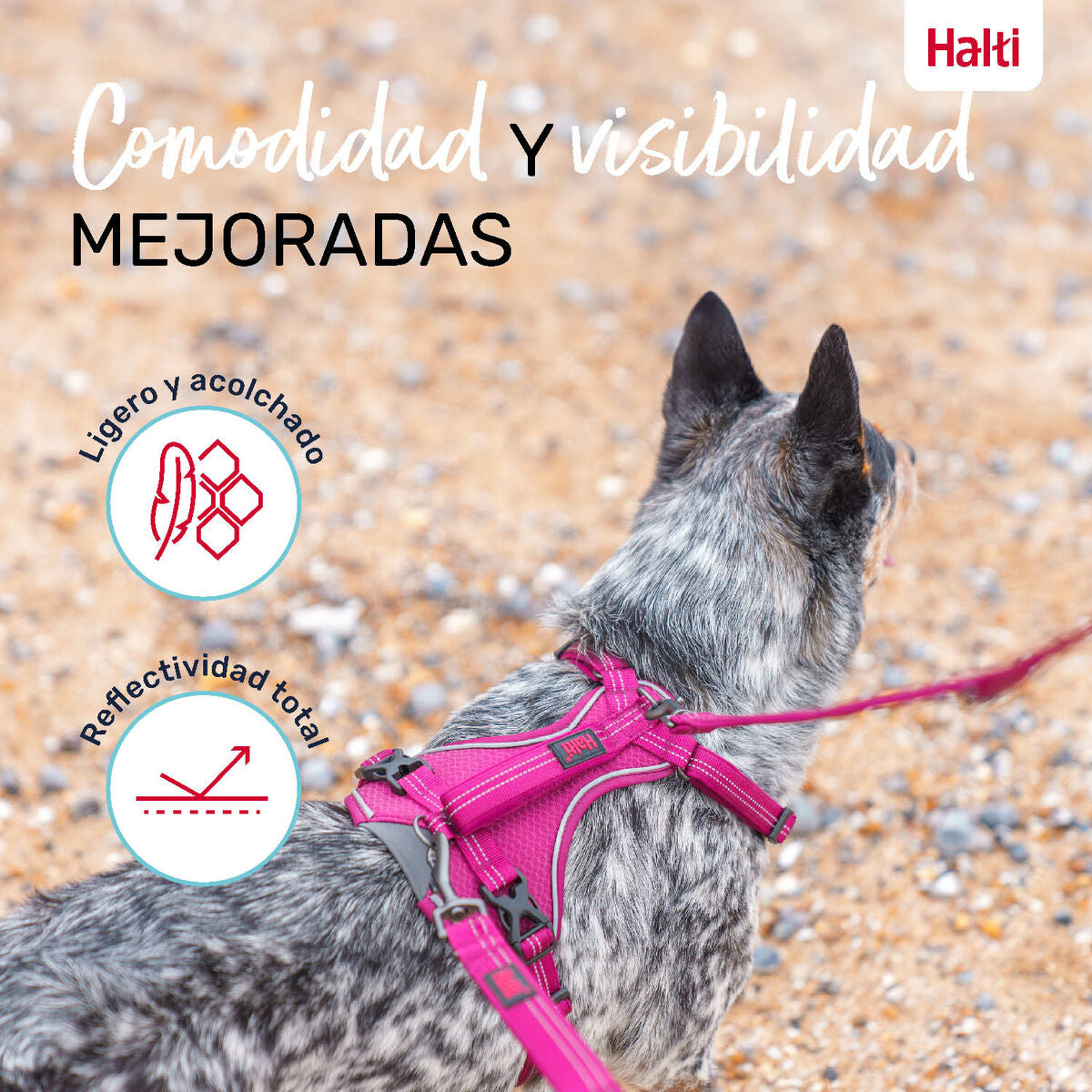 Company Of Animals Hundegeschirr Company Of Animals Burgunderrot S 28-42 Cm