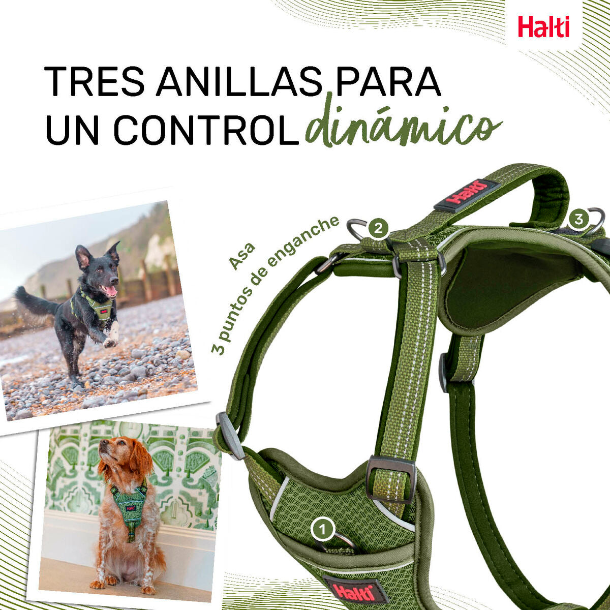 Company Of Animals Hundegeschirr Company Of Animals Grün Xl 50-78 Cm