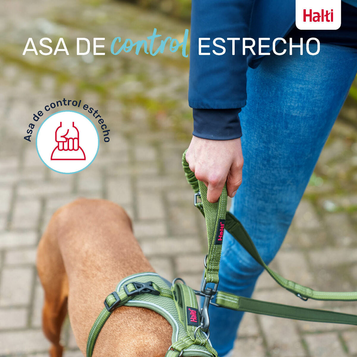 Company Of Animals Hundeleine Company Of Animals Grau S