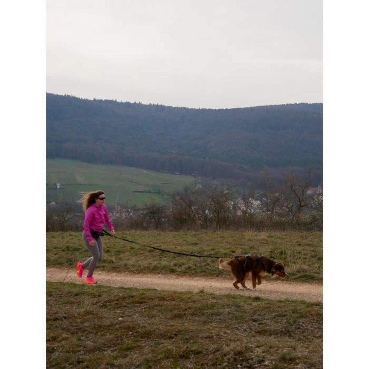 Symbioz Hundegeschirr Symbioz Schwarz L