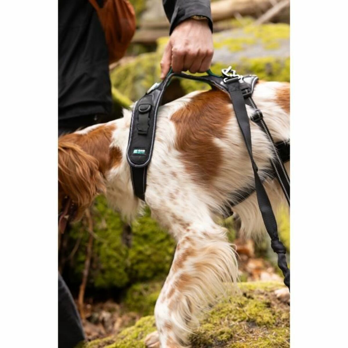 Symbioz Hundegeschirr Symbioz Schwarz L
