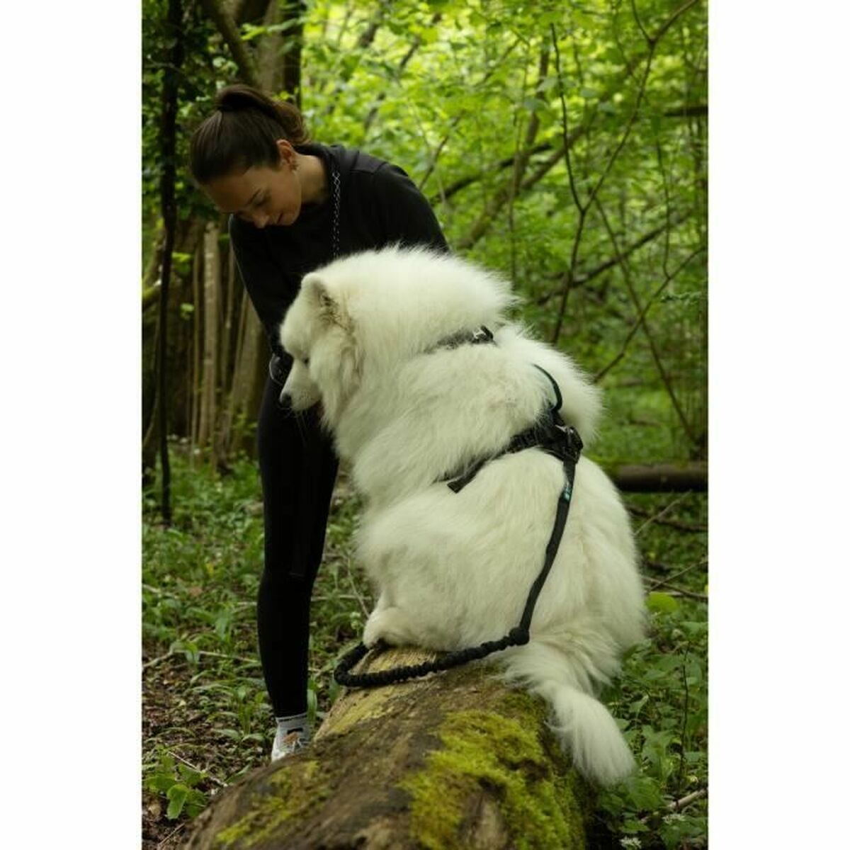 Symbioz Hundegeschirr Symbioz Schwarz S