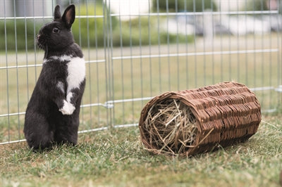 Trixie-Weiden-Tunnelkaninchen