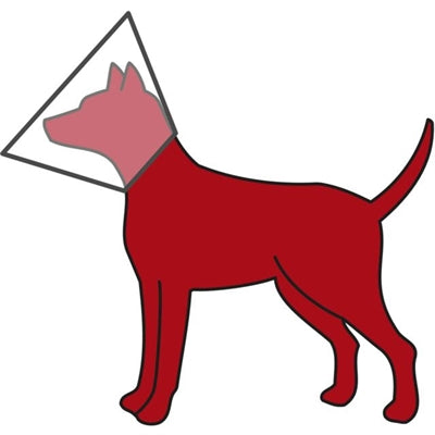 Trixie-Schutzkragen Mit Klettverschluss Kunststoff Transparent