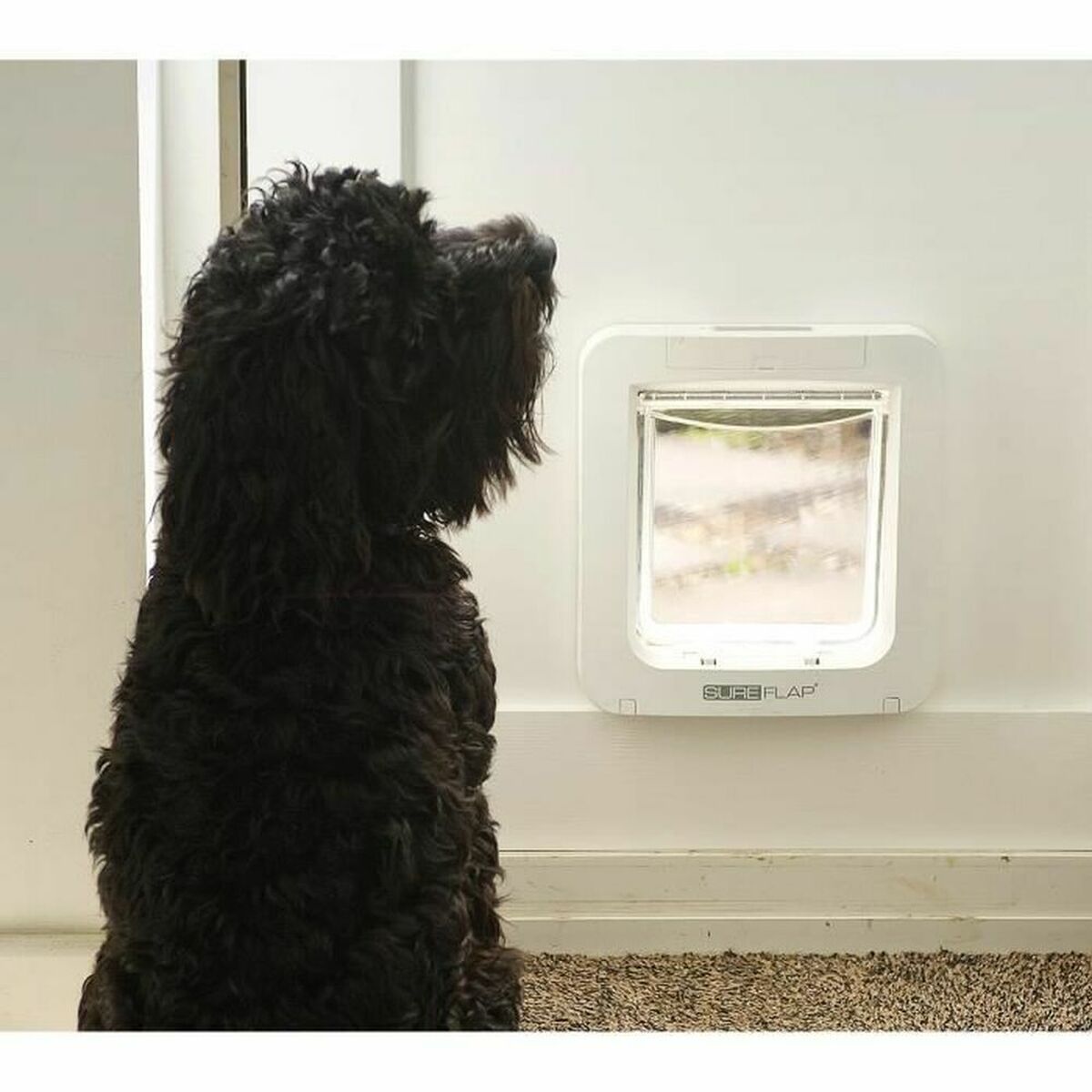 Sureflap Katzenklappe Sureflap Sur101 17,8 X 17 Cm