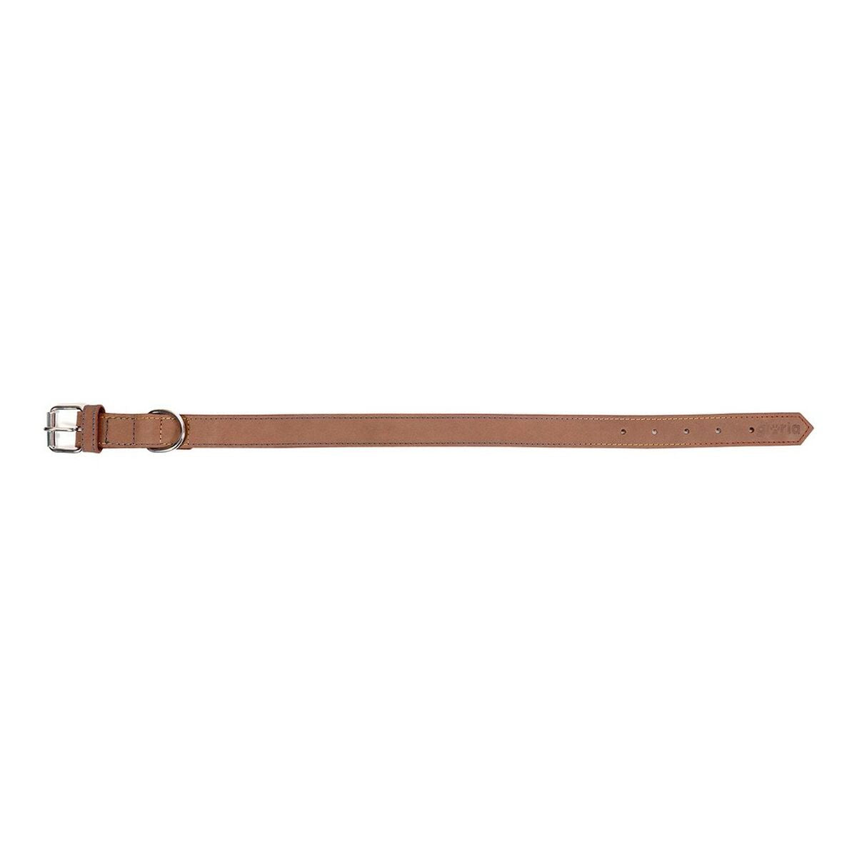 Gloria Hundehalsband Gloria Oasis Braun 35 Cm (1,2 X 35 Cm)