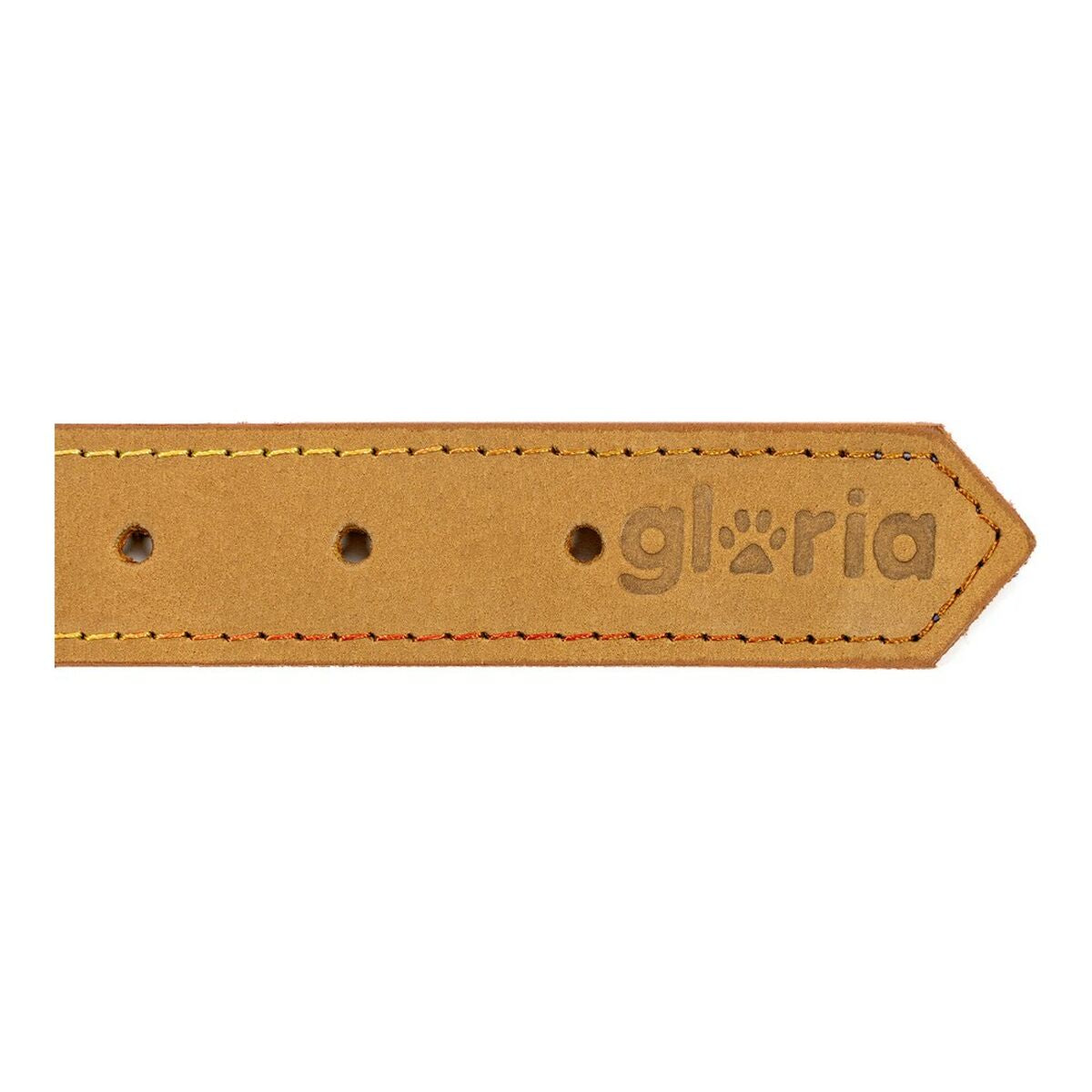 Gloria Hundehalsband Gloria Oasis 50 Cm Gelb (50 X 2,1 Cm)