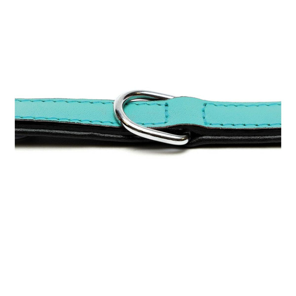 Gloria Hundehalsband Gloria Polsterung Turquoise 30 Cm (30 X 1,5 Cm)