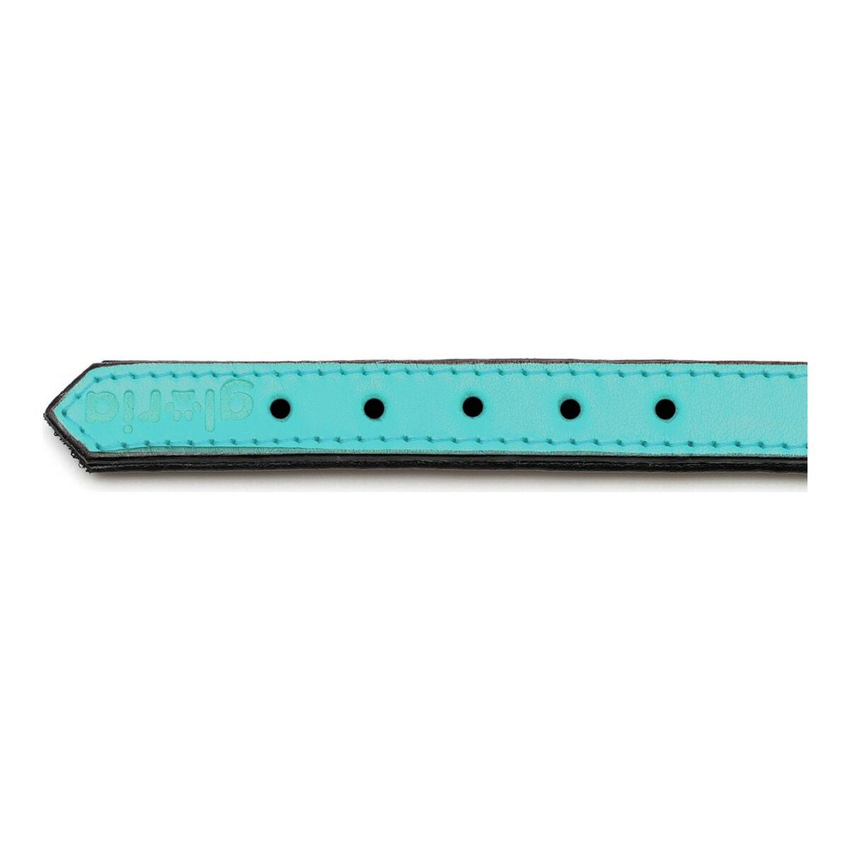 Gloria Hundehalsband Gloria Polsterung Turquoise 30 Cm (30 X 1,5 Cm)