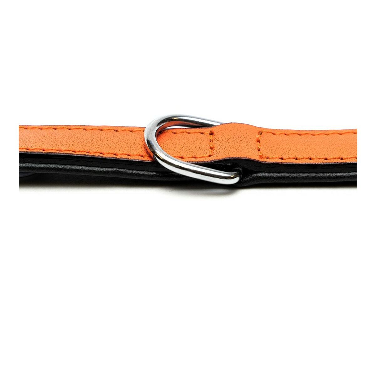 Gloria Hundehalsband Gloria Polsterung Orange 40 Cm (40 X 2 Cm)